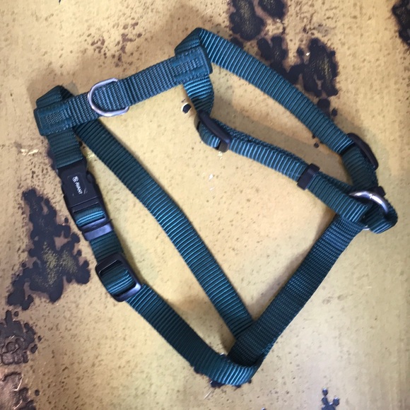 Adjustable Dog Harness - Picture 3 of 3